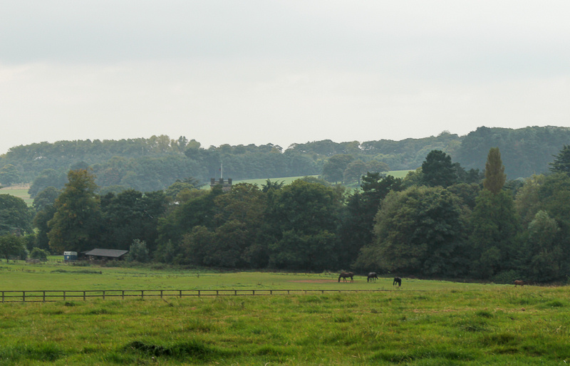 Locko Park